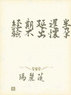 经期延迟半个月验不出怀孕封面