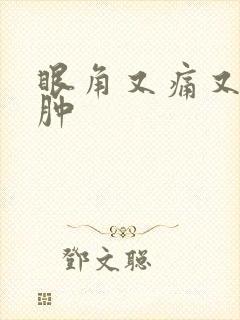 眼角又痛又痒又肿封面
