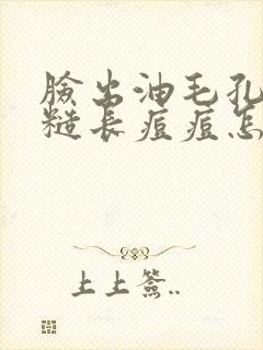 脸出油毛孔大粗糙长痘痘怎么改善