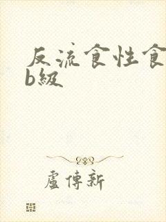 反流食性食管炎b级
