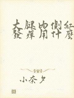 大腿内侧红疹子发痒用什么药