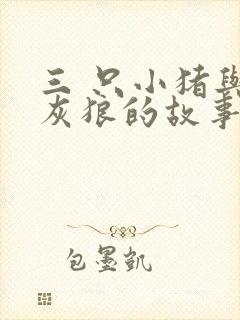 三 只小猪与大灰狼的故事封面