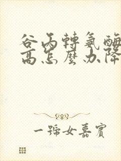 谷丙转氨酶偏偏高怎么办降