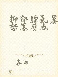 抑郁脾气暴躁易怒怎么办