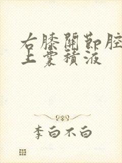 右膝关节腔及髌上囊积液封面