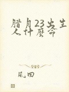 腊月23出生的人什么命