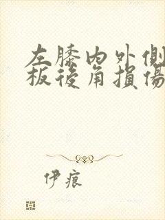 左膝内外侧半月板后角损伤2度