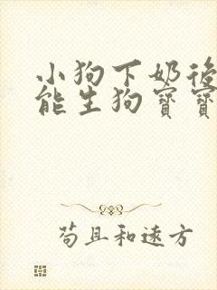 小狗下奶后多久能生狗宝宝
