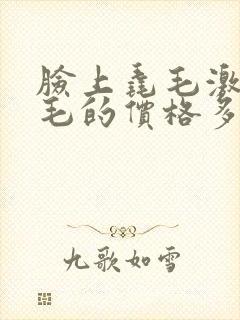 脸上毳毛激光脱毛的价格多少封面