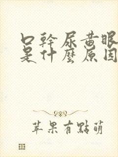 口干尿黄眼睛涩是什么原因