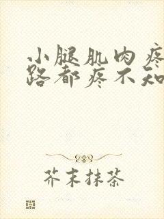 小腿肌肉疼痛走路都疼不知道是怎么回事