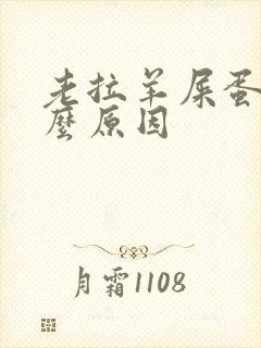 老拉羊屎蛋是什么原因