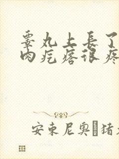 睾丸上长了一个肉疙瘩很疼