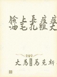 脸上长痘痘爱出油毛孔粗大怎么办