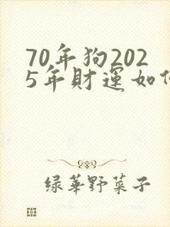 70年狗2025年财运如何