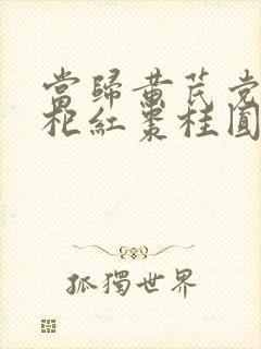 当归黄芪党参枸杞红枣桂圆