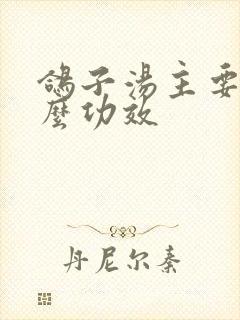 鸽子汤主要补什么功效