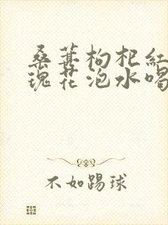 桑葚枸杞红枣玫瑰花泡水喝的功效封面