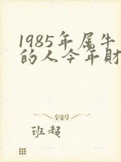 1985年属牛的人今年财运