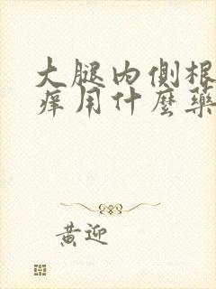 大腿内侧根部瘙痒用什么药