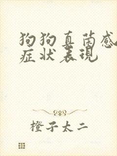 狗狗真菌感染的症状表现