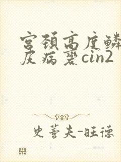 宫颈高度鳞状上皮病变cin2封面