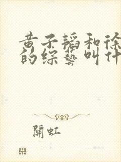 黄子韬和徐艺洋的综艺叫什么