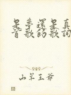 是梦还是真是哪首歌的歌词