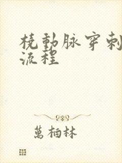 桡动脉穿刺技术流程