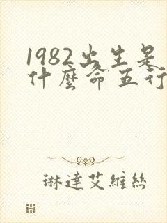1982出生是什么命五行属什么