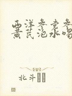 西洋参党参麦冬黄芪泡水喝