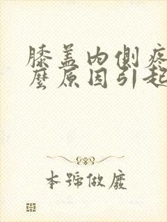 膝盖内侧疼痛什么原因引起的