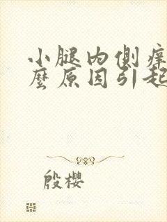小腿内侧痒是什么原因引起的封面