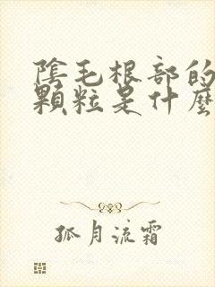 阴毛根部的白色颗粒是什么