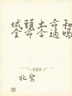 城头土命和白蜡金命合适吗