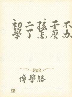 初二孩子不想上学了怎么办