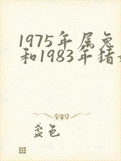 1975年属兔和1983年猪婚配如何?