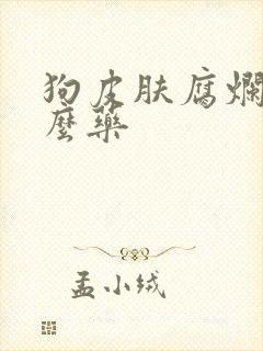 狗皮肤腐烂用什么药