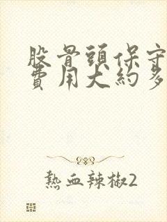 股骨头保守治疗费用大约多少封面