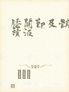 膝关节及髌上囊积液