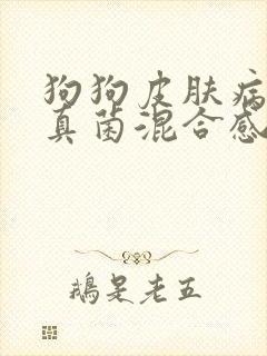 狗狗皮肤病细菌真菌混合感染怎么办封面