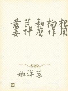 黄芪和枸杞红枣姜什么作用与功效