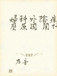 妇科外阴痒是什么原因 用什么药