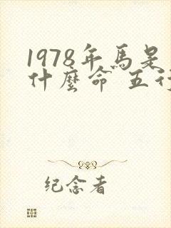 1978年马是什么命 五行属什么