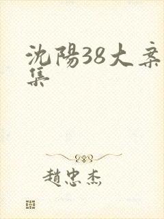 沈阳38大案下集