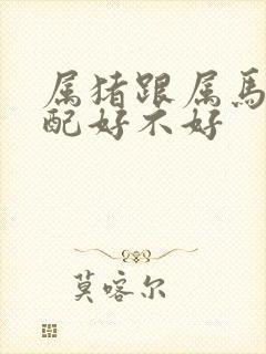 属猪跟属马的婚配好不好