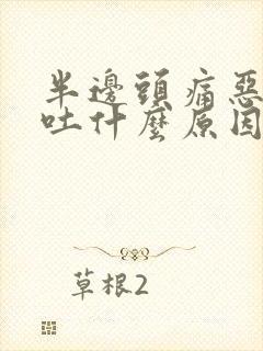 半边头痛恶心想吐什么原因