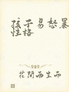 孩子易怒暴躁的性格