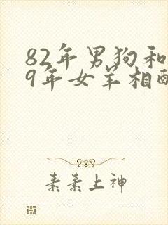 82年男狗和79年女羊相配婚姻如何