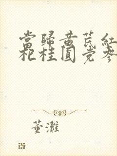 当归黄芪红枣枸杞桂圆党参泡水喝有什么功效封面